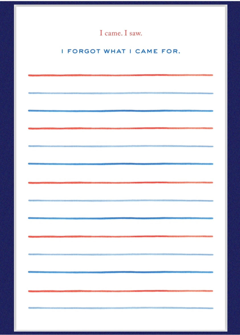 I CAME. I SAW. I FORGOT WHAT I CAME FOR. Notepad